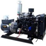 GN LP/Natural Gas Generators