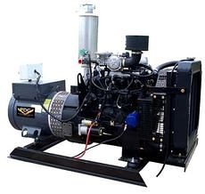 GN LP/Natural Gas Generators